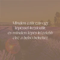 webforexperts - Dr. Tolvay Katalin 2025