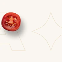 webforexperts - Omnis Pizzabár 2025