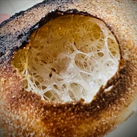 webforexperts - Omnis Pizzabár 2025