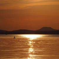 webforexperts - BalatonHomes 2026