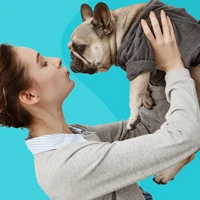 webforexperts - Varhur Állatorvosi Rendelő 2026