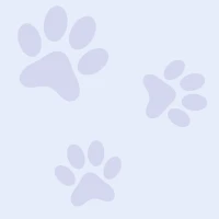 webforexperts - Varhur Állatorvosi Rendelő 2026